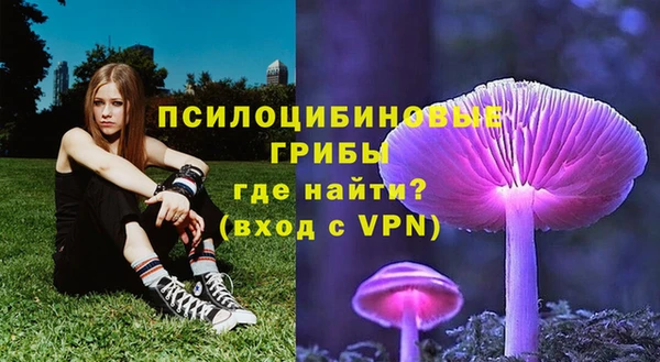 MDMA Premium VHQ Богородицк